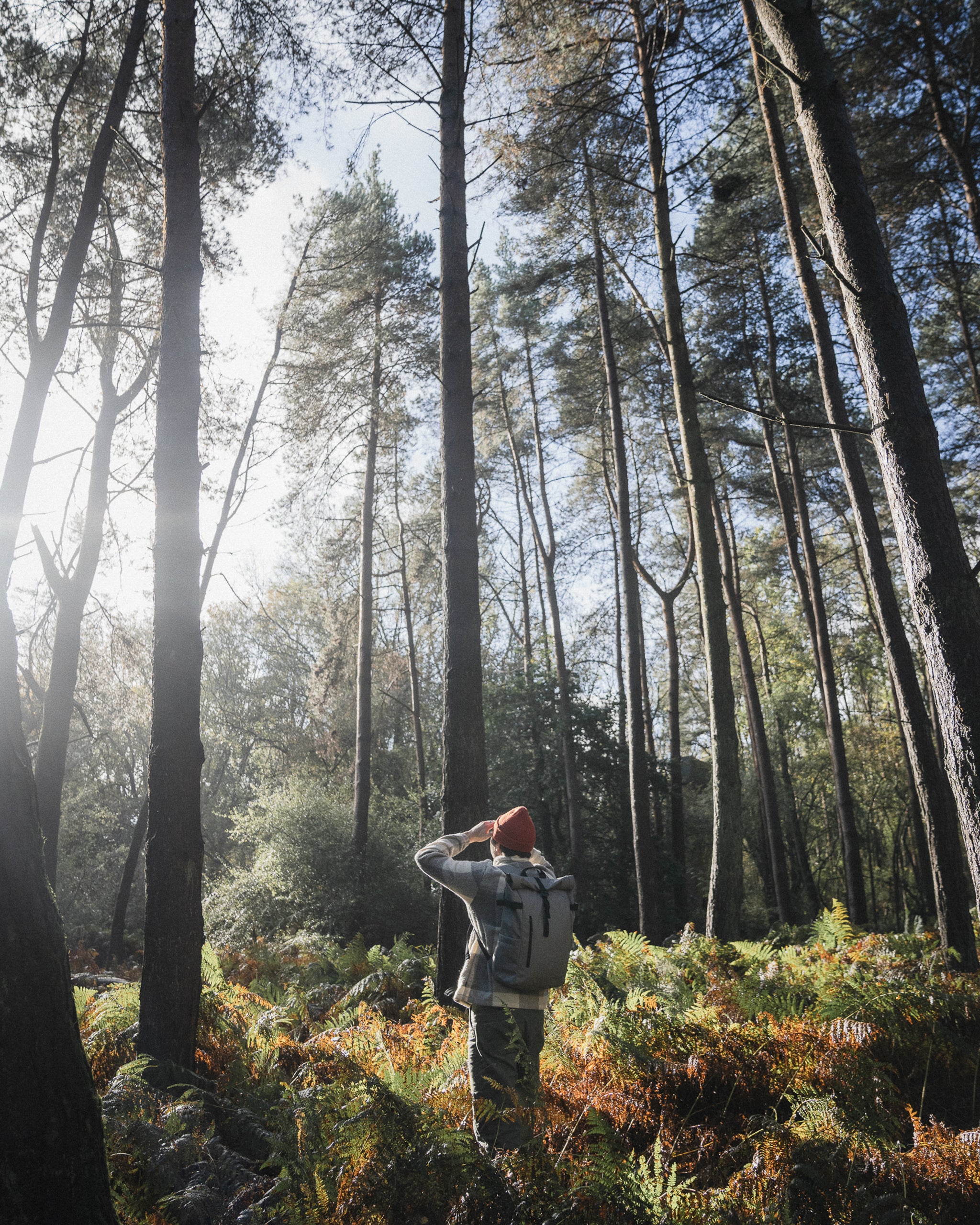 a man wearing a roll top 20l in concrete on his back in a forest - the travel project blog