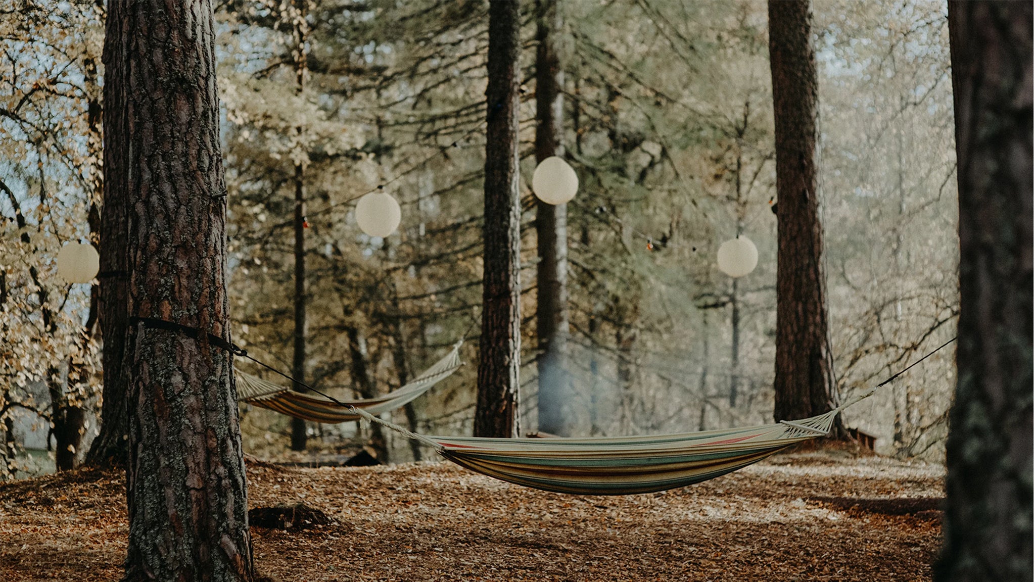 Hammocks hanging in a groest at the woodland cottage in Kip retreats